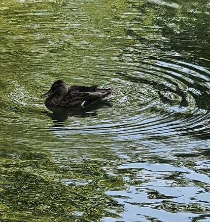 Fewo Bei Lehmanns Werl Dış mekan fotoğraf