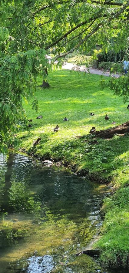 Fewo Bei Lehmanns Werl Dış mekan fotoğraf